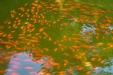 自动化建造休闲解谜游戏《牧神镇物语》Steam页面上线 发售日待定