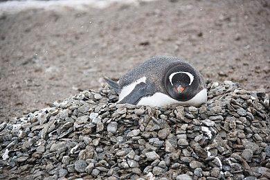 Xbox Game Pass最初设计是游戏租赁服务